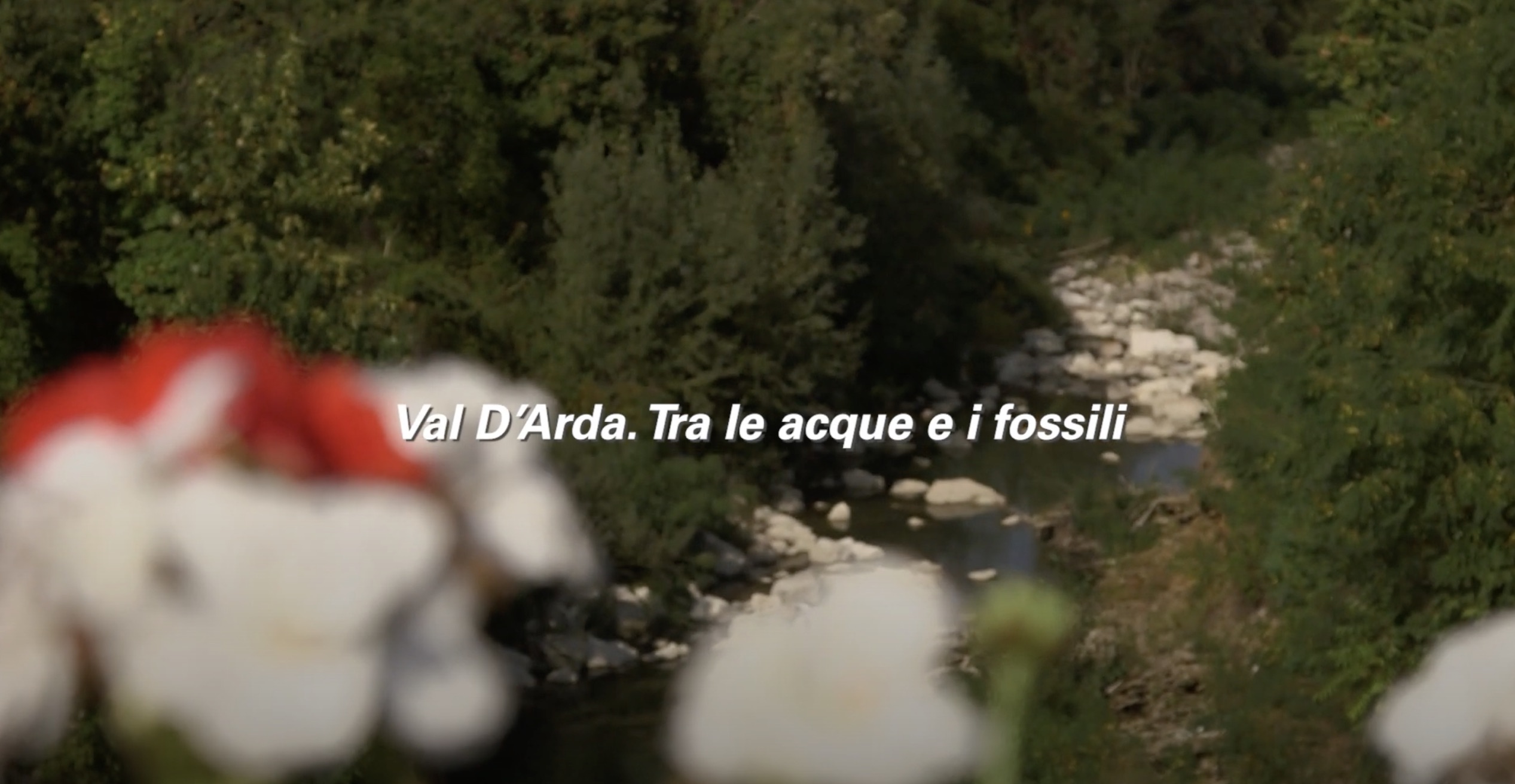 video.val-darda.cover_.jpeg