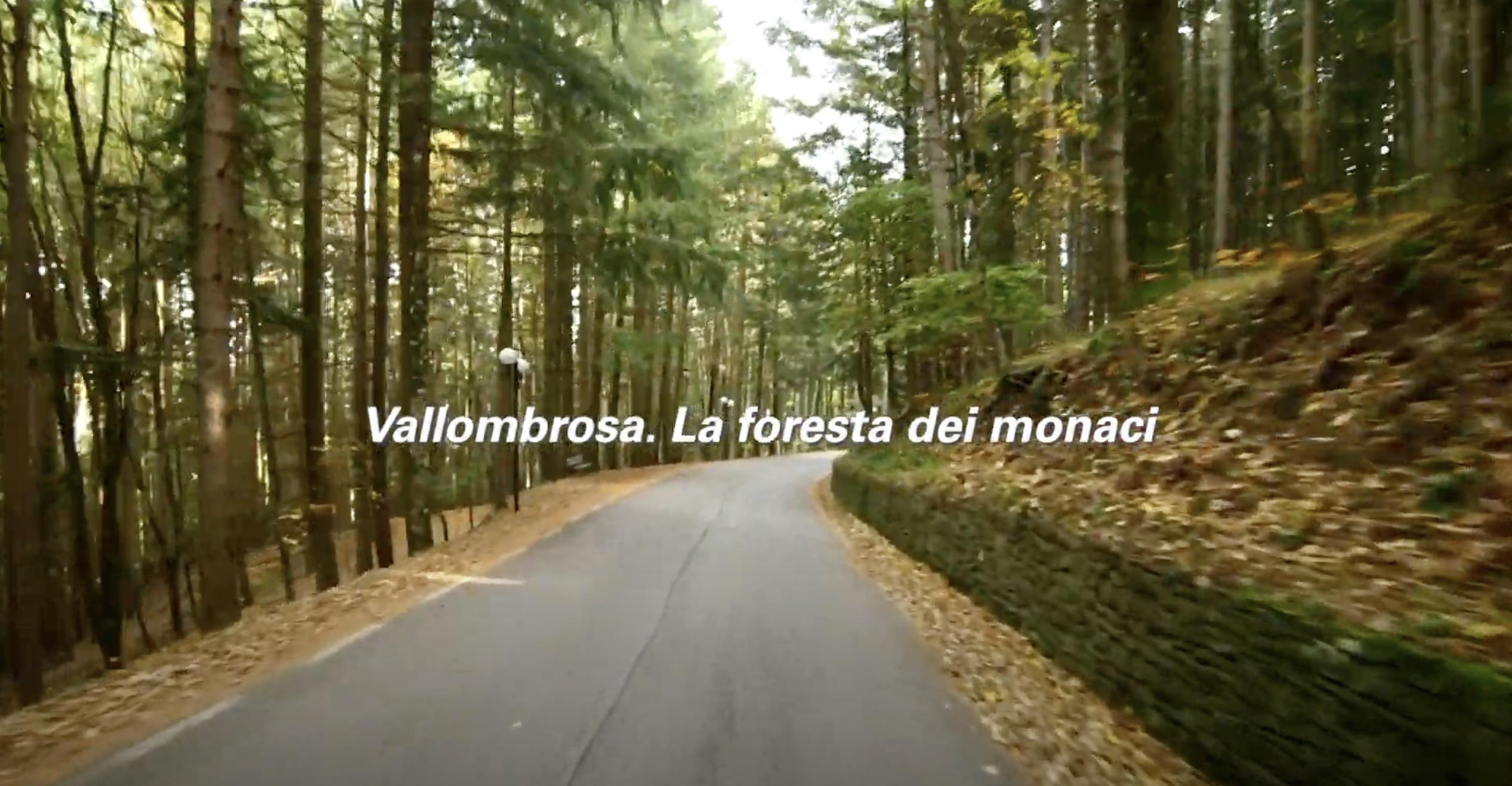 video.vallombrosa-monaci.cover_.jpeg