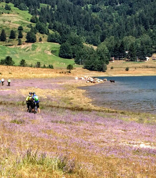 La Sila Piccola Parco nazionale della Sila: in mountain bike sul lago Ampollino © Luigi Faini, concorso fotografico TCI Italia in biciletta